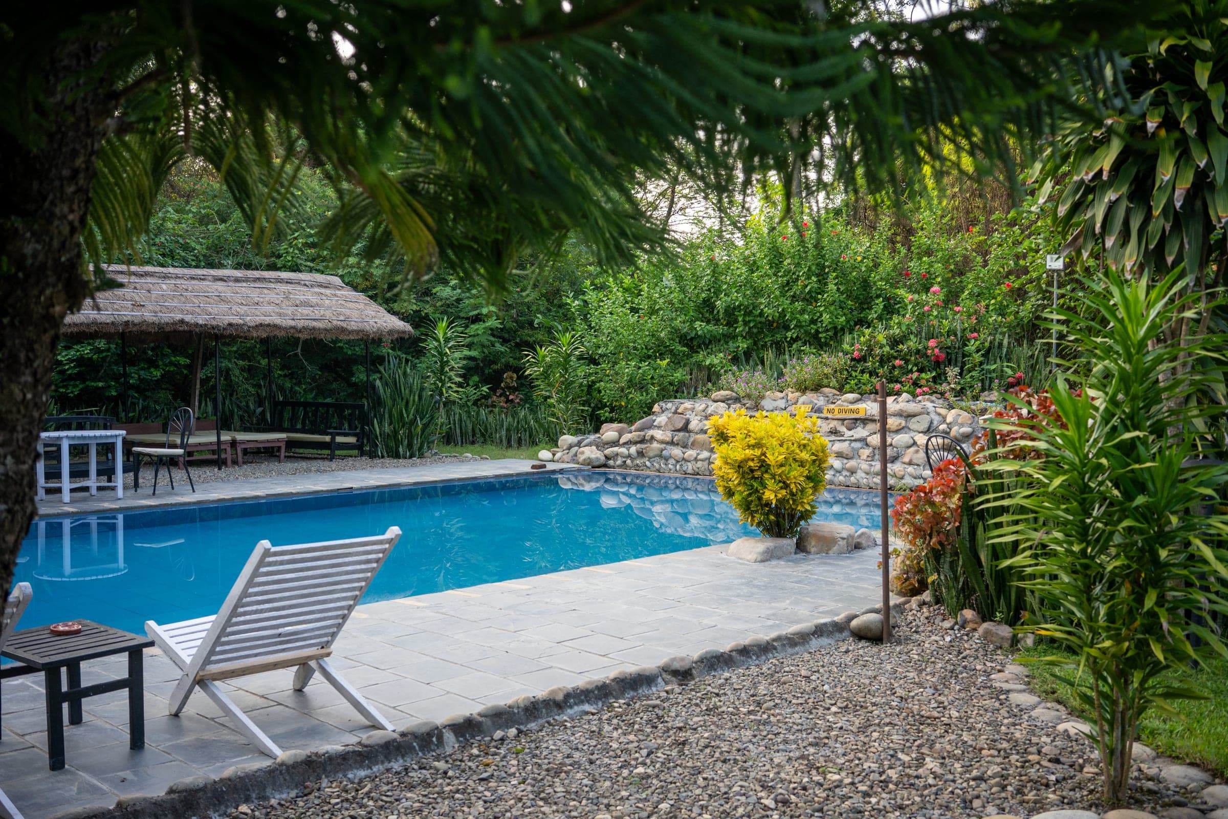 A still blue swimming pool framed by palms and a thatched cabana