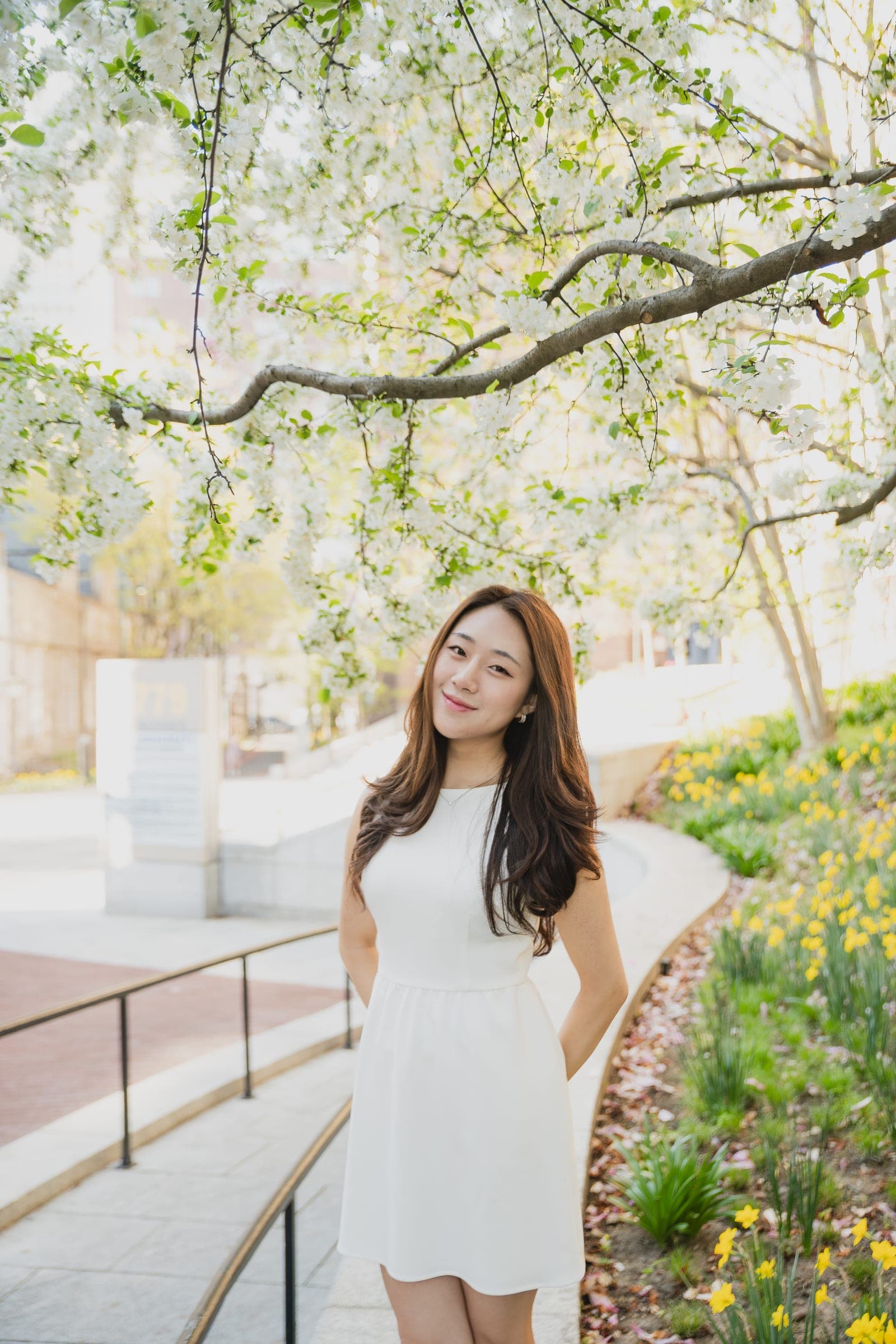 A young woman in a white dress standing under spring blossoms on a stone path